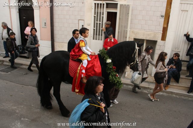 I Pellegrini e la Festa di San Trifone